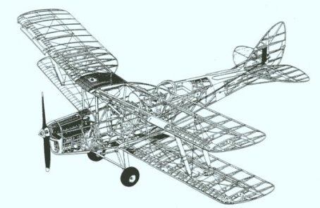 Tiger Moth
